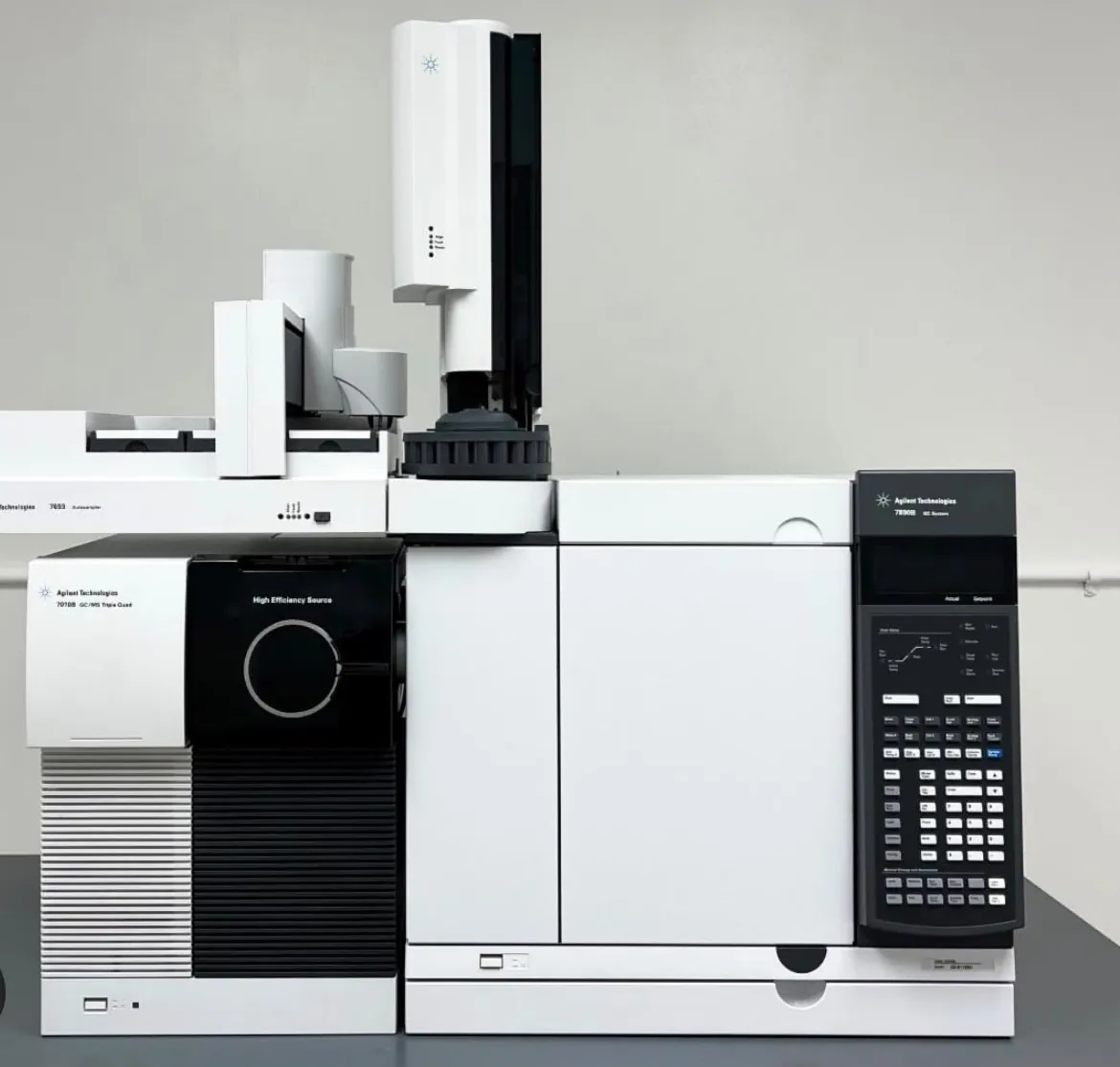 GC-MS: chromatografia gazowa ze spektrometrią mas
